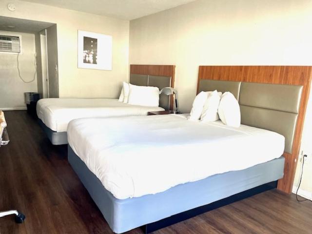 Mystic Sea Hotel เมอร์เทิลบีช ภายนอก รูปภาพ